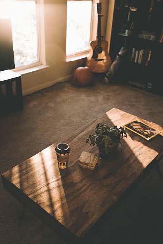 coffee table cup and potted flower in coffee table furniture